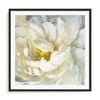Artey | Summer Joy II - Framed Print - Black Frame - 60 x 60cm