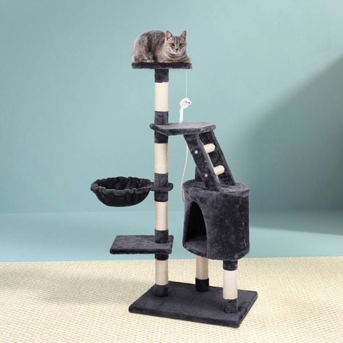 Bunnings cat scratching post best sale