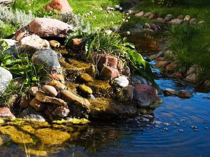 Creek feeding into a small rock-lined pool