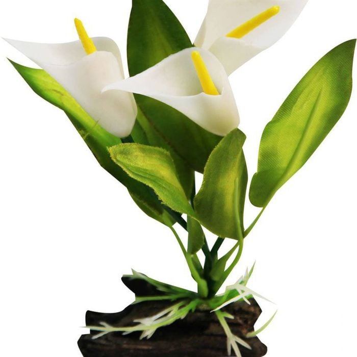 Aqua One Calla Lily W/Log Base Plastic Plant - Small (28184)