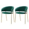 Dining Chairs Green x2
