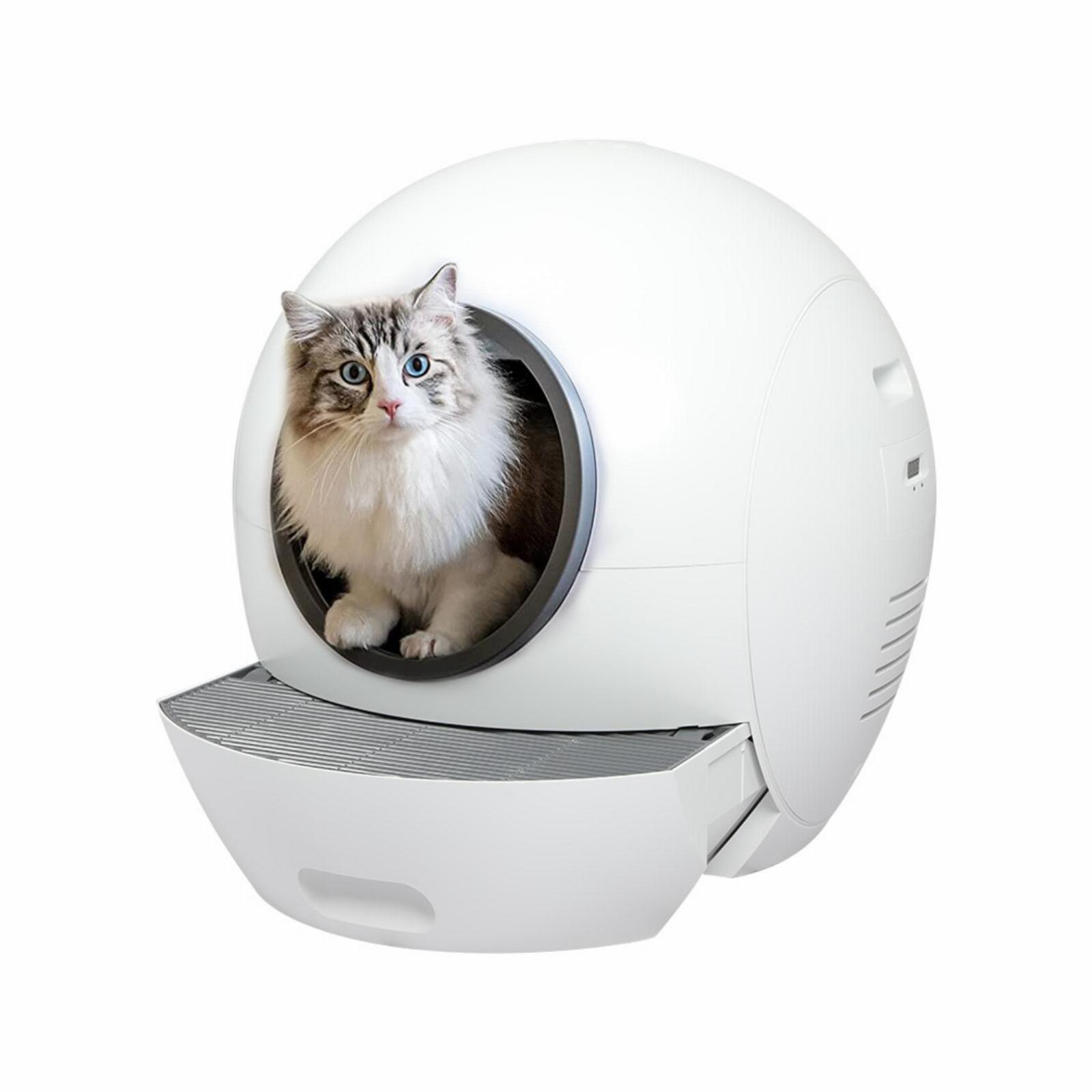 Cat litter toilet best sale