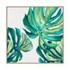 Artey | Botanical Monstera I - Framed Canvas - Natural Frame - 100 x 100cm
