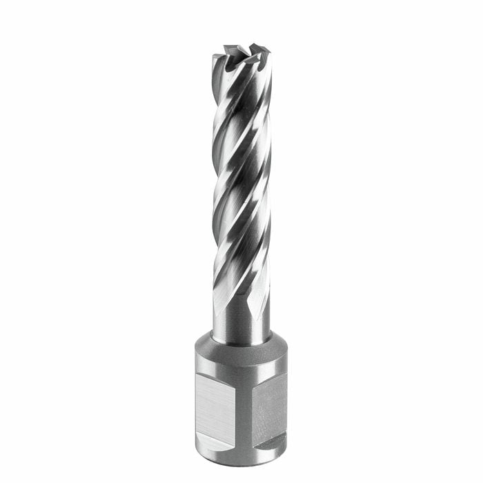 Full Boar Ø12 x 50mm Annular Cutter