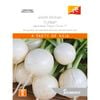 Johnsons Seed Turnip Japanese Tokyo Cross F1 World Kitchen