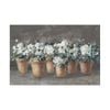Artey | Geranium Glory I Light - Stretched Canvas - Stretched Canvas - 100 x 150cm