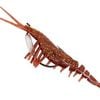Zerek Live Cherabin-145mm Pre Rigged Lumo Eyes-Colour 11 - With Bonus Jig Head