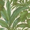 Wallpaper Trader Versace Giungla Palm Green On White