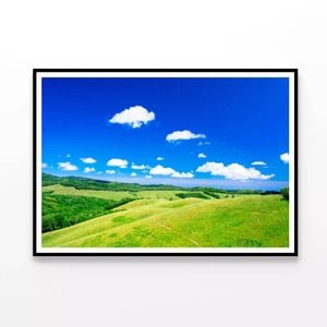 Grassland Scenery  Print 100% Australian Made 120x90cm  (Poster)