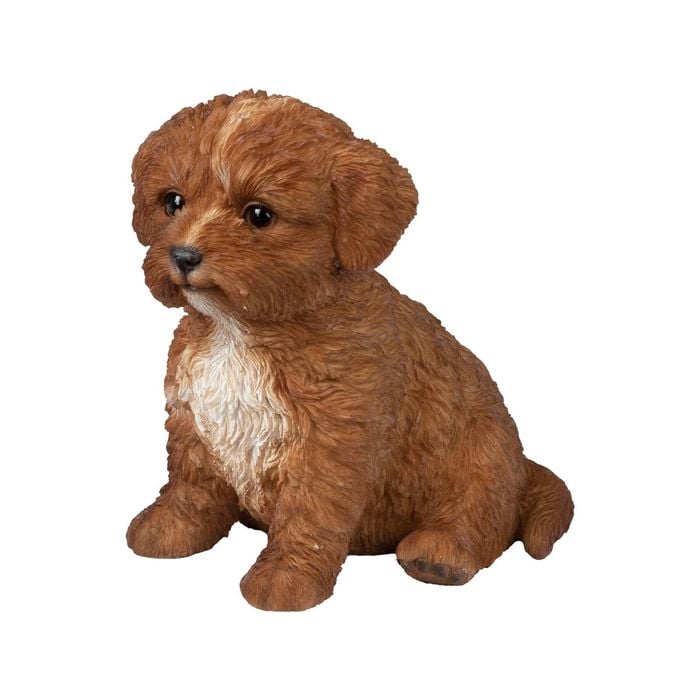 Northcote Pottery 9.5 x 14cm Bella the Cavoodle Garden Statue