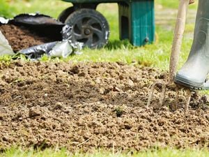 Person using pitch fork to dig up some dirt.
