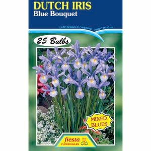 Fiesta Flower Bulbs Dutch Iris Blue Bouquet - 25 Bulbs