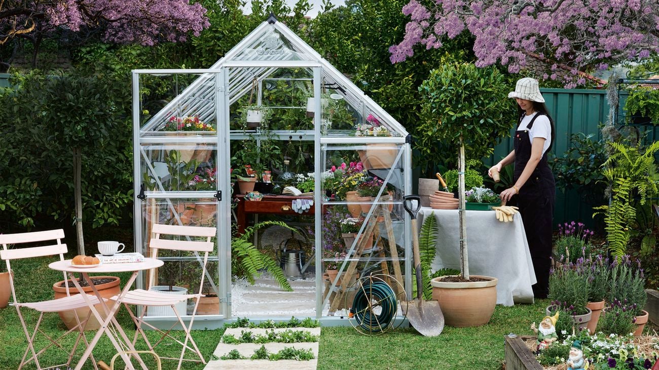 An image of a garden greenhouse made of clear glass and a metal frame, full of plants and garden tools