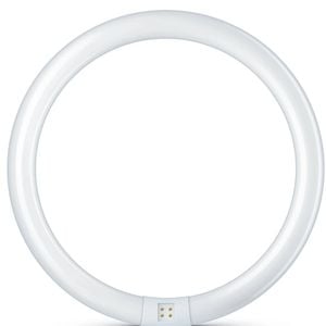 Philips G10 Fluro 2375Lm Cool White 32W Circular 