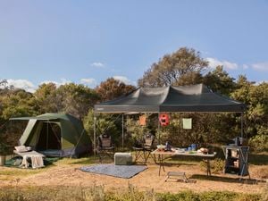 A campsite set up on grass with a green dome tent, a gazebo shelter, camping chairs, a folding table with cooking gear, and a portable stove, positioned near bushland.