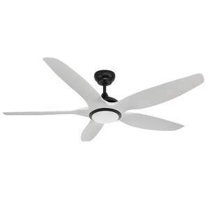 Eli & Co. Lighting Aero 60'' DC Ceiling Fan with 3CCT LED Light & Remote Timer - White