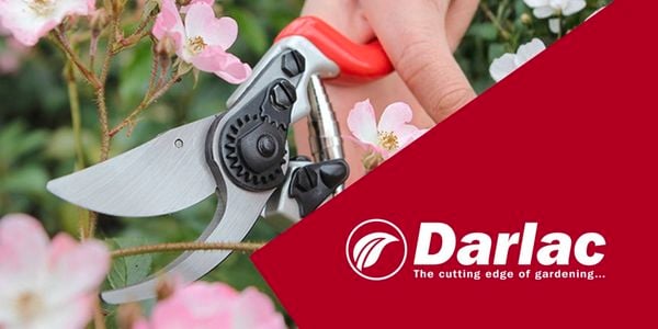 Darlac - Strip Banner - Brand Page