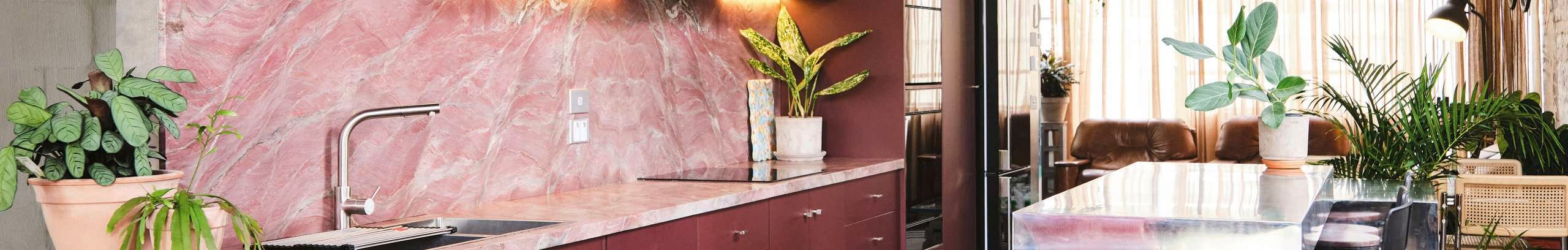 Contemporary kitchen with pink marble splashback, dark cabinetry, indoor plants and a stainless-steel island bench in a bright open-plan space.