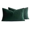 Catzon 2 Pcs Decorative Velvet Throw Pillow Covers Soild for Home Car 30X50cm-Dark Green