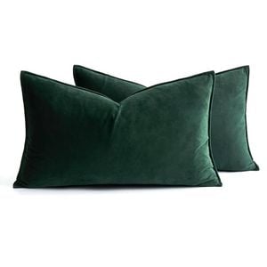 Catzon 2 Pcs Decorative Velvet Throw Pillow Covers Soild for Home Car 30X50cm-Dark Green