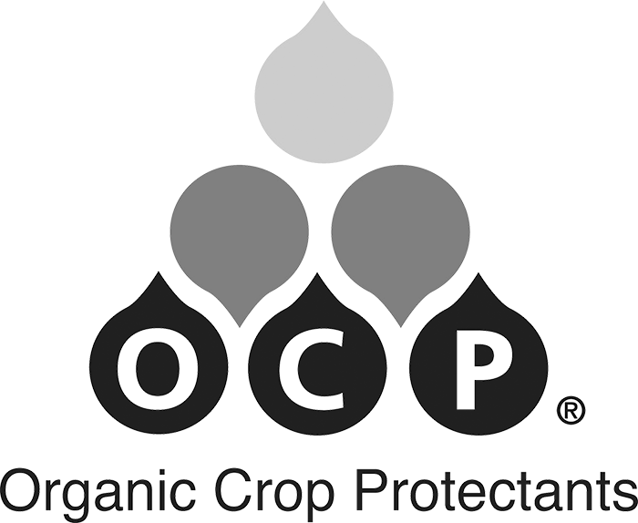OCP