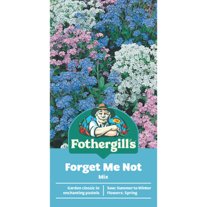 Fothergill's Forget Me Not Mixed Seed Flower