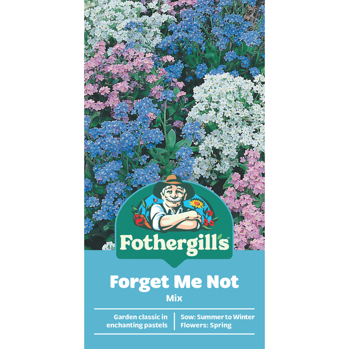 Fothergill's Forget Me Not Mixed Seed Flower