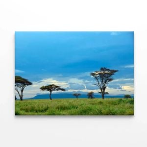 National Park with Mountains  Print 100% Australian Made 150 x 100cm  (Stretched)