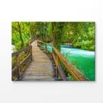 Wooden Pathway in To The Forest Print 100% Australian Made 75x50cm (Stretched Canvas)