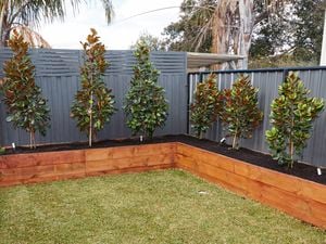 DIY Advice Image - Great ideas for outdoor privacy . G Drive blob storage upload.