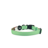 Holly & Co Ruffiti Small Green Stylish Dog Collar