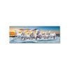 Horses Running on Sea Sunset Scenery View Print 100% Australian Made 180x60 (Stretched Canvas)