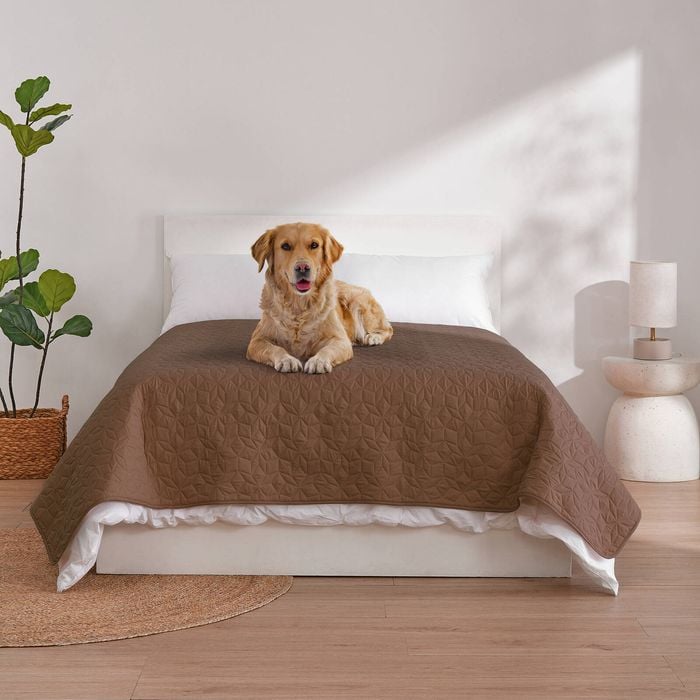 Charlie's Sofur Waterproof Dog Bed Cover Protector Double/queen 208x208cm Espresso