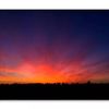 Beautiful Landscape & Dusk Country  Print 100% Australian Made 120x90cm  (Poster)