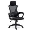 FORTIA Ergonomic Office Chair, Height Adjustable Lumbar Support, Black