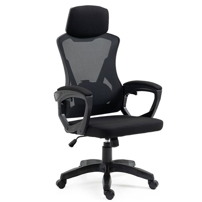 FORTIA Ergonomic Office Chair, Height Adjustable Lumbar Support, Black