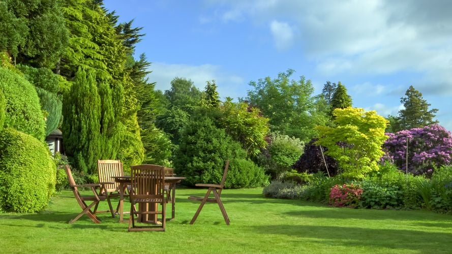 A lush green lawn and garden