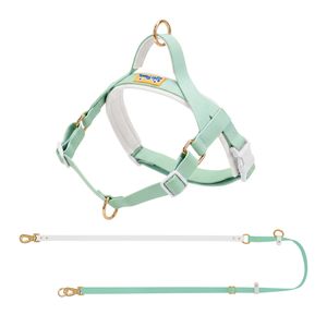 Lolopaws Waterproof PVC Dog Harness & Leash Set Green S