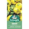 Fothergill's Mixed Button Squash Vegetable Seeds