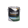 Taubmans 4L White Semi Gloss Water Based Professional Enamel Paint - 4L