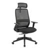 Maestro Furniture Dian High Mesh Back Molded Foam Seat Ergonomic Computer Office Working Chair Black
