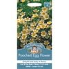 Mr Fothergill's Poached Egg Flower Seeds