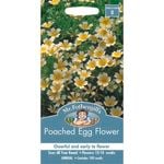 Mr Fothergill's Poached Egg Flower Seeds
