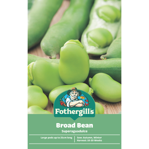 Fothergill's Broad Bean Superaguadulce Vegetable Seeds