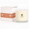 Nicola Spring 400g Soy Wax Scented Candle - Pumpkin Spice - 45 Hour Burn Time Relaxation Aromatherapy Gift Ready Jar Candle