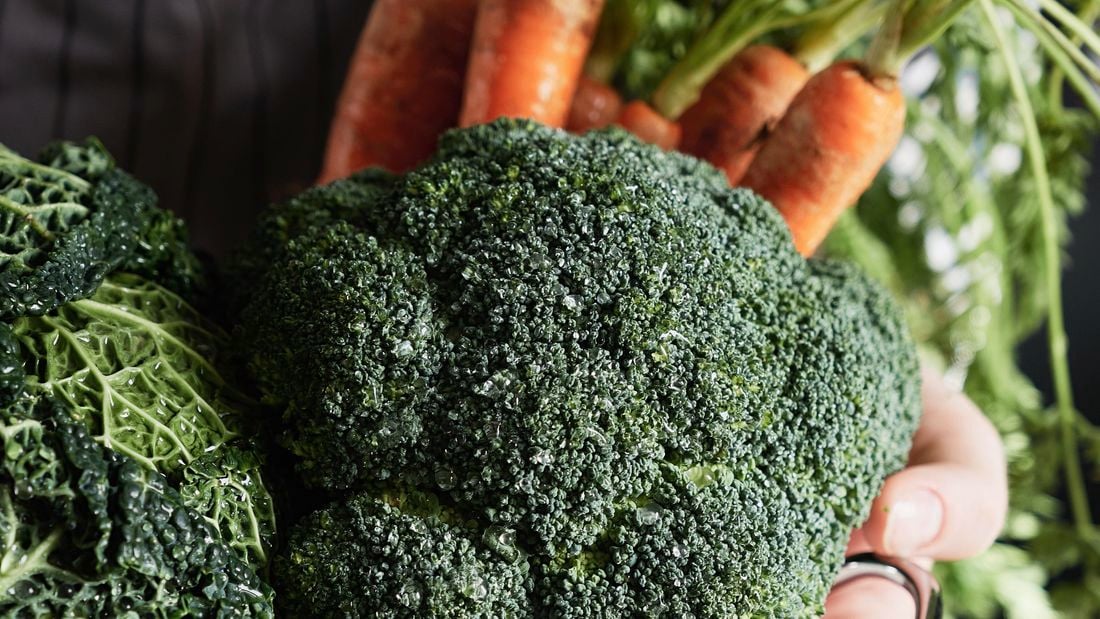 close up of home grown veggies