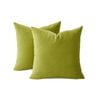 Gioia Casa Twin-Pack Velvet European Pillowcases – Soft Microfibre Pillowcases with Hidden Zipper (Green, 65cm*65cm)