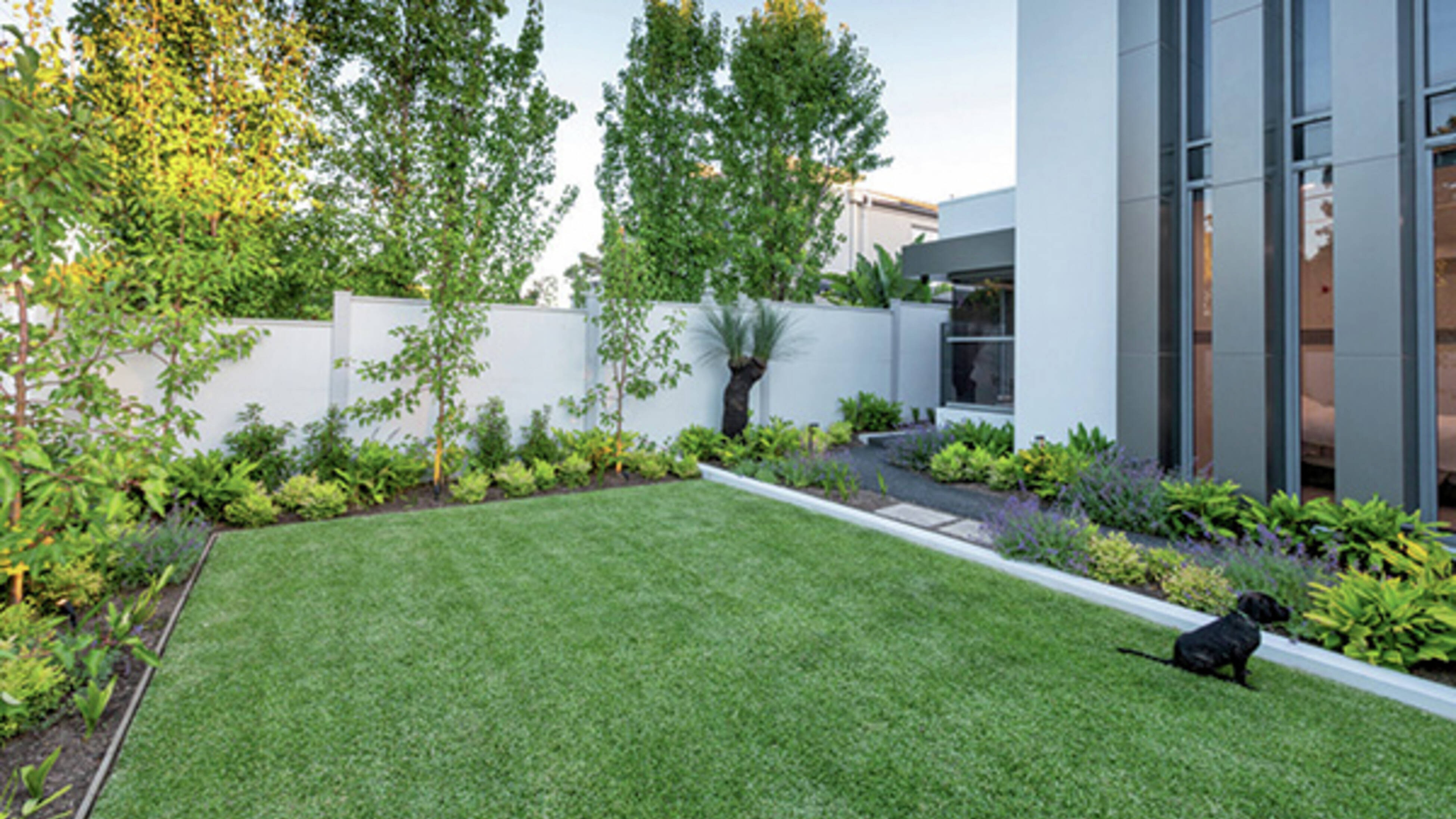 A manicured lawn and garden beds beside a modern house with a small black dog.]