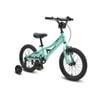 Progear Duralite 16" Bike In Mint