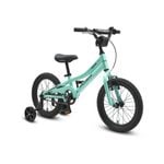 Progear Duralite 16" Bike In Mint